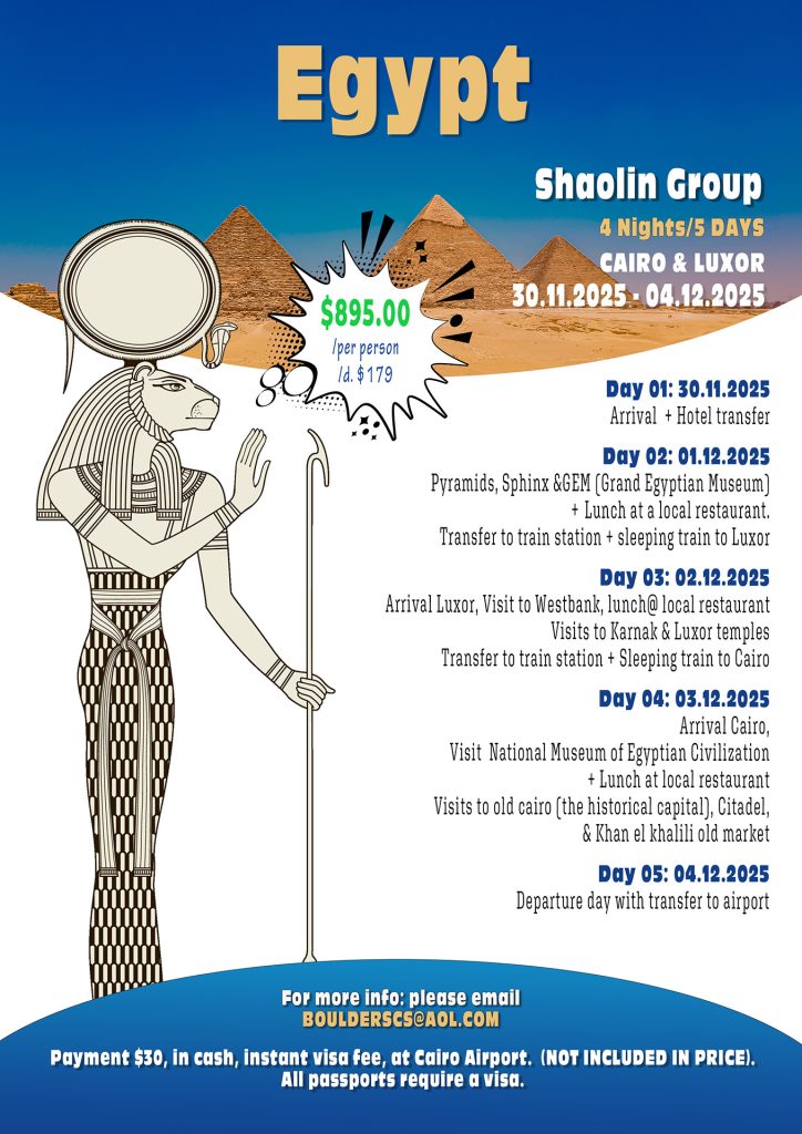 Diseño de folleto. Flyer design